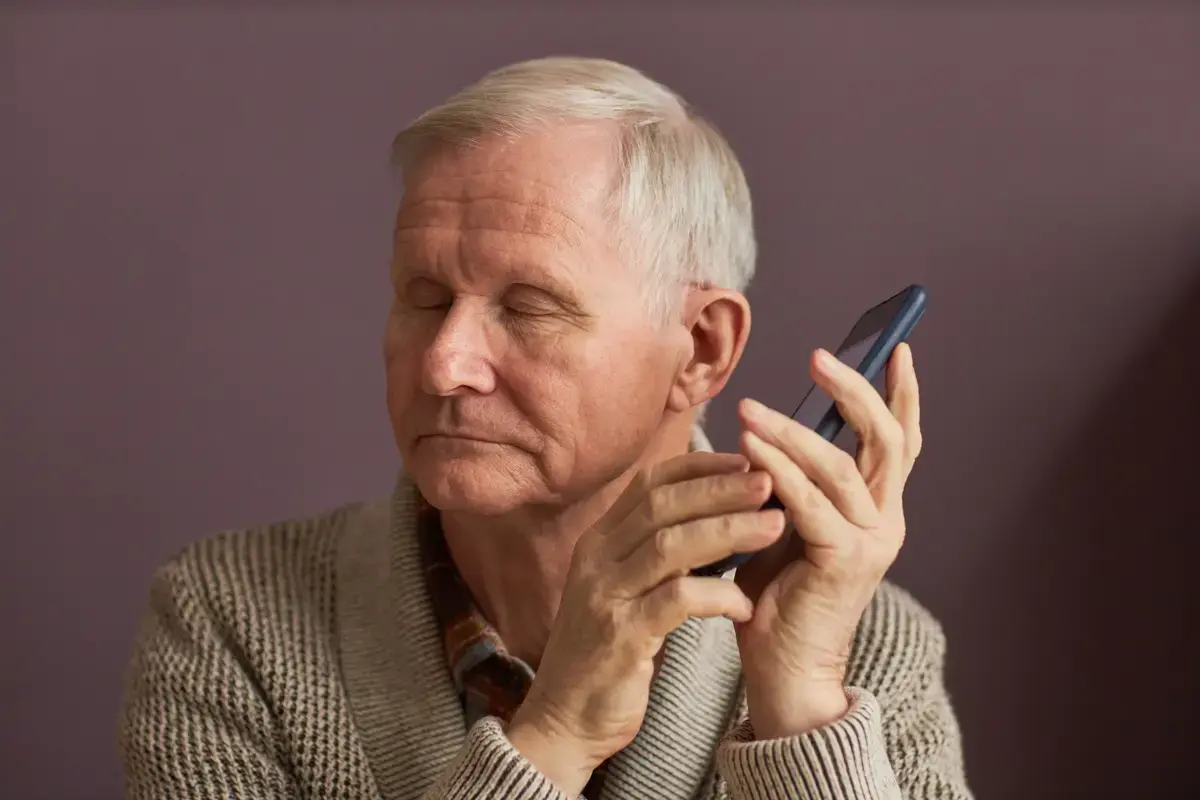 Barrier-free web access with the smartphone